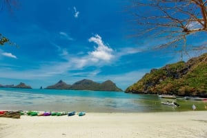 From Ko Pha Ngan: Angthong Marine Park Speedboat Adventure