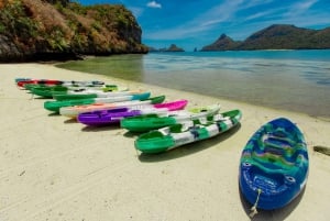 From Ko Pha Ngan: Angthong Marine Park Speedboat Adventure