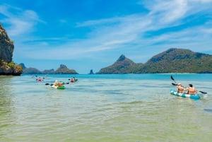 From Ko Pha Ngan: Angthong Marine Park Speedboat Adventure