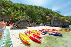 From Ko Pha Ngan: Angthong Marine Park Speedboat Adventure