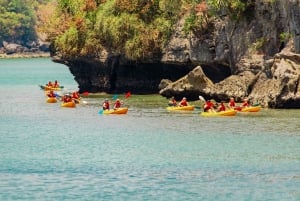 From Ko Pha Ngan: Angthong Marine Park Speedboat Adventure