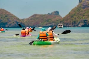 From Ko Pha Ngan: Angthong Marine Park Speedboat Adventure