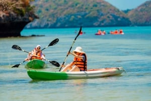 From Ko Pha Ngan: Angthong Marine Park Speedboat Adventure