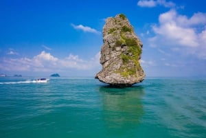 Fra Koh Samui: Ang Thong Marine Park VIP tur med en lille gruppe
