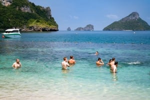 Fra Koh Samui: Ang Thong Marine Park VIP tur med en lille gruppe