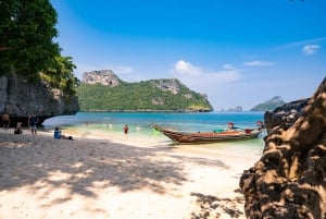 Fra Koh Samui: Ang Thong Marine Park VIP tur med en lille gruppe
