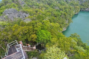 From Koh Samui: Day Tour to Ang Thong with Kayak and Lunch