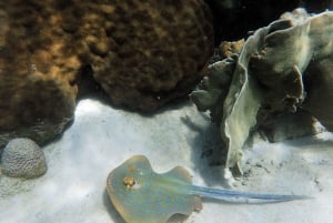 Desde Koh Samui: Salto de Isla con Snorkel y Almuerzo