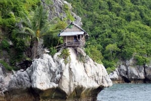 Desde Koh Samui: Salto de Isla con Snorkel y Almuerzo