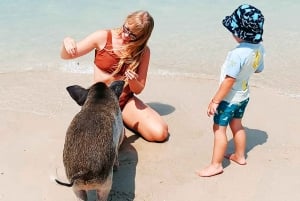 Desde Koh Samui: Salto de Isla con Snorkel y Almuerzo