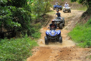 From Koh Samui: Off-Road Adventure ATV Quad Bike Jungle Tour