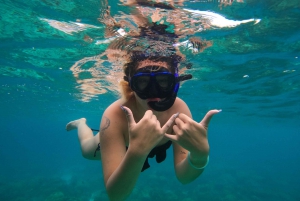 From Koh Samui: Day Tour to Koh Tao & Nang Yuan with Lunch