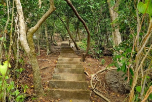 From Koh Samui: Day Tour to Koh Tao & Nang Yuan with Lunch