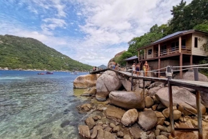 From Koh Samui: Day Tour to Koh Tao & Nang Yuan with Lunch