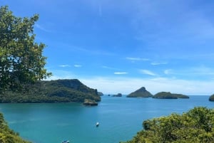 Z Koh Samui: Prywatna wycieczka do parku morskiego Ang Thong