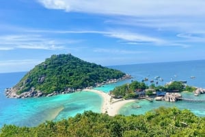 From Koh Samui: Private Speed Boat Koh Tao & Nang Yuan