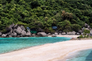 From Koh Samui: Private Speedboat Tour to Koh Tao & Nangyuan
