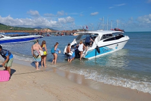 From Koh Samui: Private Speedboat Tour to Koh Tao & Nangyuan