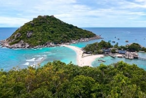 Z Koh Samui: Wycieczka prywatną łodzią motorową na Koh Tao i Nangyuan