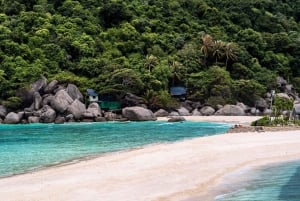 Z Koh Samui: Wycieczka prywatną łodzią motorową na Koh Tao i Nangyuan