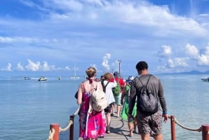 Z Koh Samui: Wycieczka prywatną łodzią motorową na Koh Tao i Nangyuan