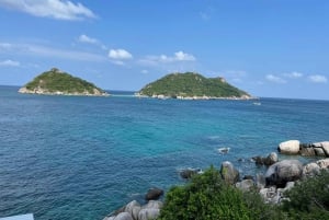 Z Koh Samui: Wycieczka prywatną łodzią motorową na Koh Tao i Nangyuan