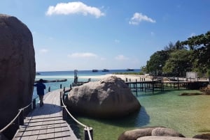 Z Koh Samui: Wycieczka prywatną łodzią motorową na Koh Tao i Nangyuan