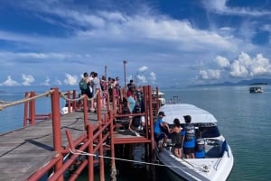 Z Koh Samui: Wycieczka prywatną łodzią motorową na Koh Tao i Nangyuan