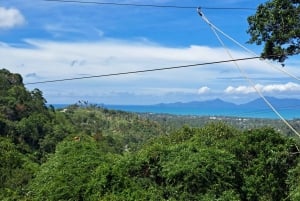 From Koh Samui: Tree Bridge Zipline and Café Experience