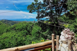 Da Koh Samui: Tree Bridge Zipline e Café Experience
