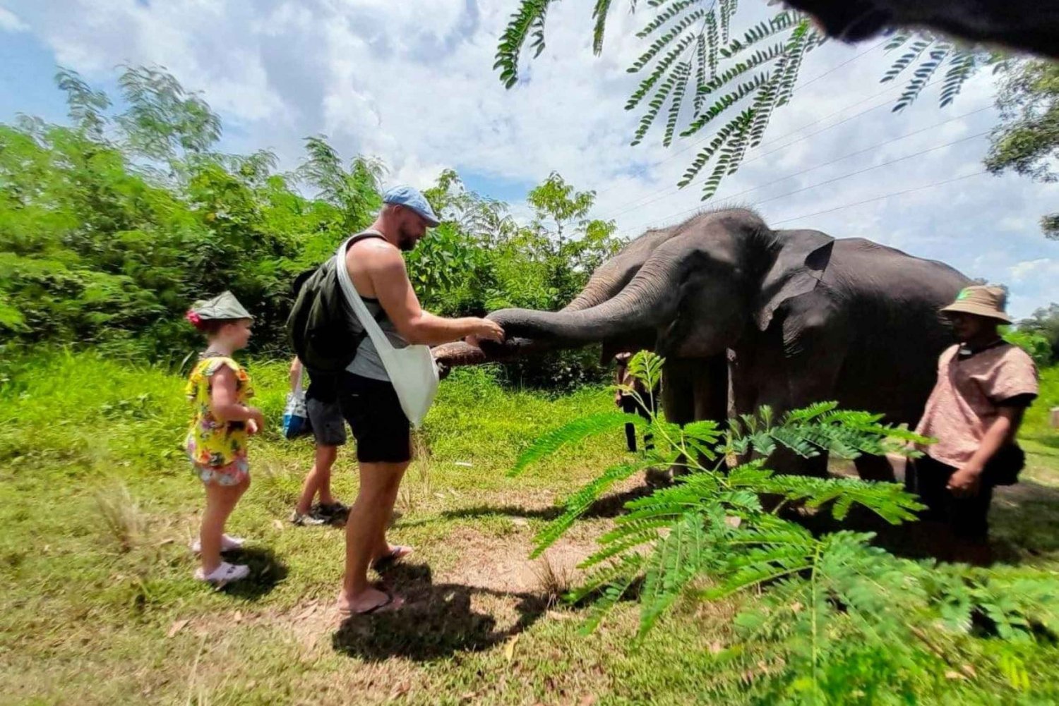From Phuket: Ethical Elephant Interactive Trek and Tour