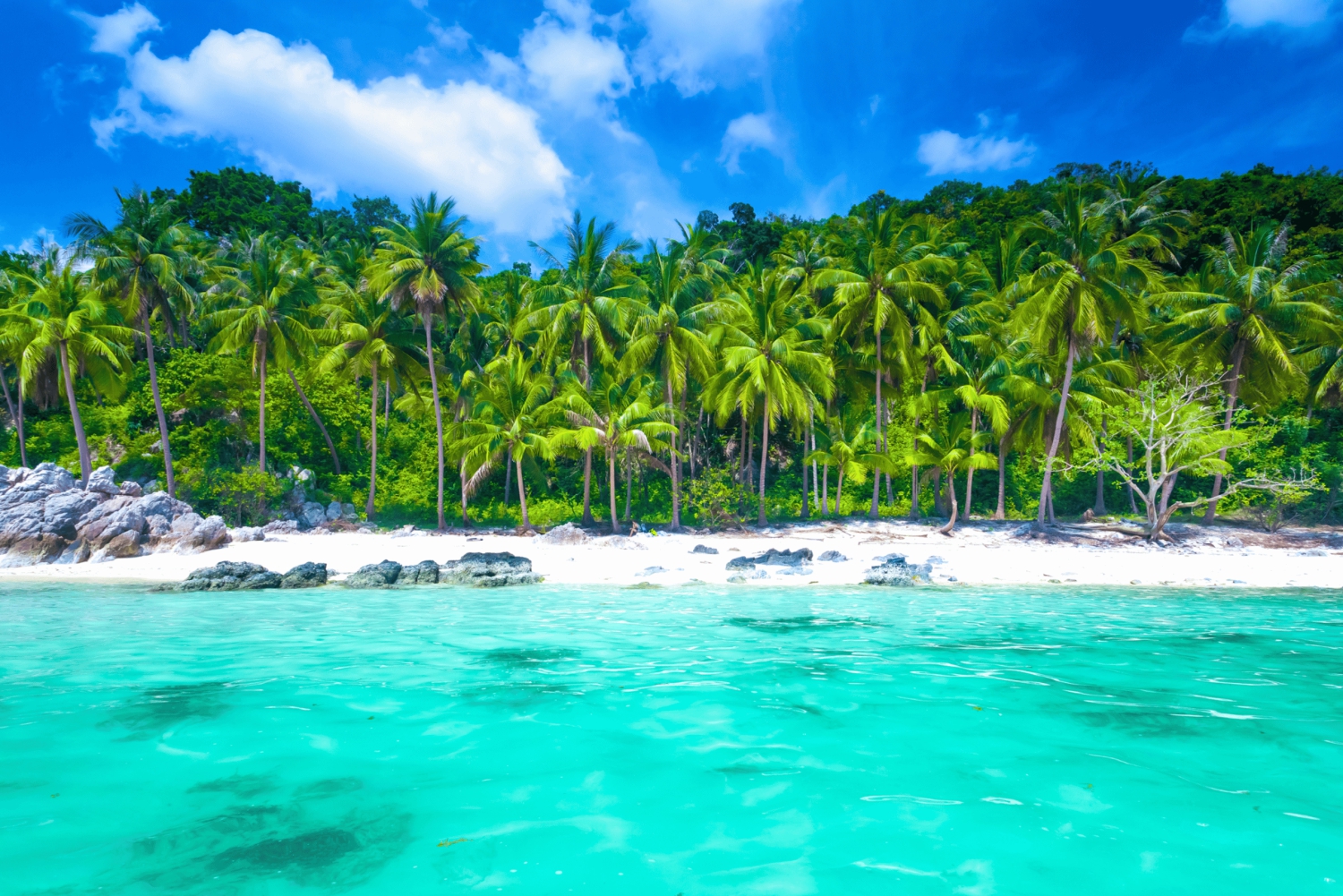 De Samui: Parque Nacional de Angthong: mergulho com snorkel e caiaque