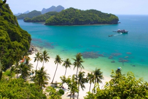 Au départ de Samui : Parc national d'Angthong : plongée en apnée et kayak
