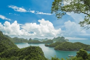 De Samui: Parque Nacional de Angthong: mergulho com snorkel e caiaque