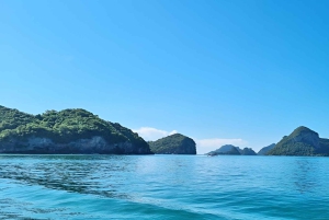 Экскурсия на парусной лодке на целый день в морской парк Ангтонг