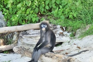 Экскурсия на парусной лодке на целый день в морской парк Ангтонг