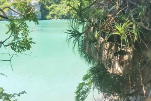 Экскурсия на парусной лодке на целый день в морской парк Ангтонг