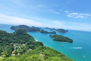 Экскурсия на парусной лодке на целый день в морской парк Ангтонг