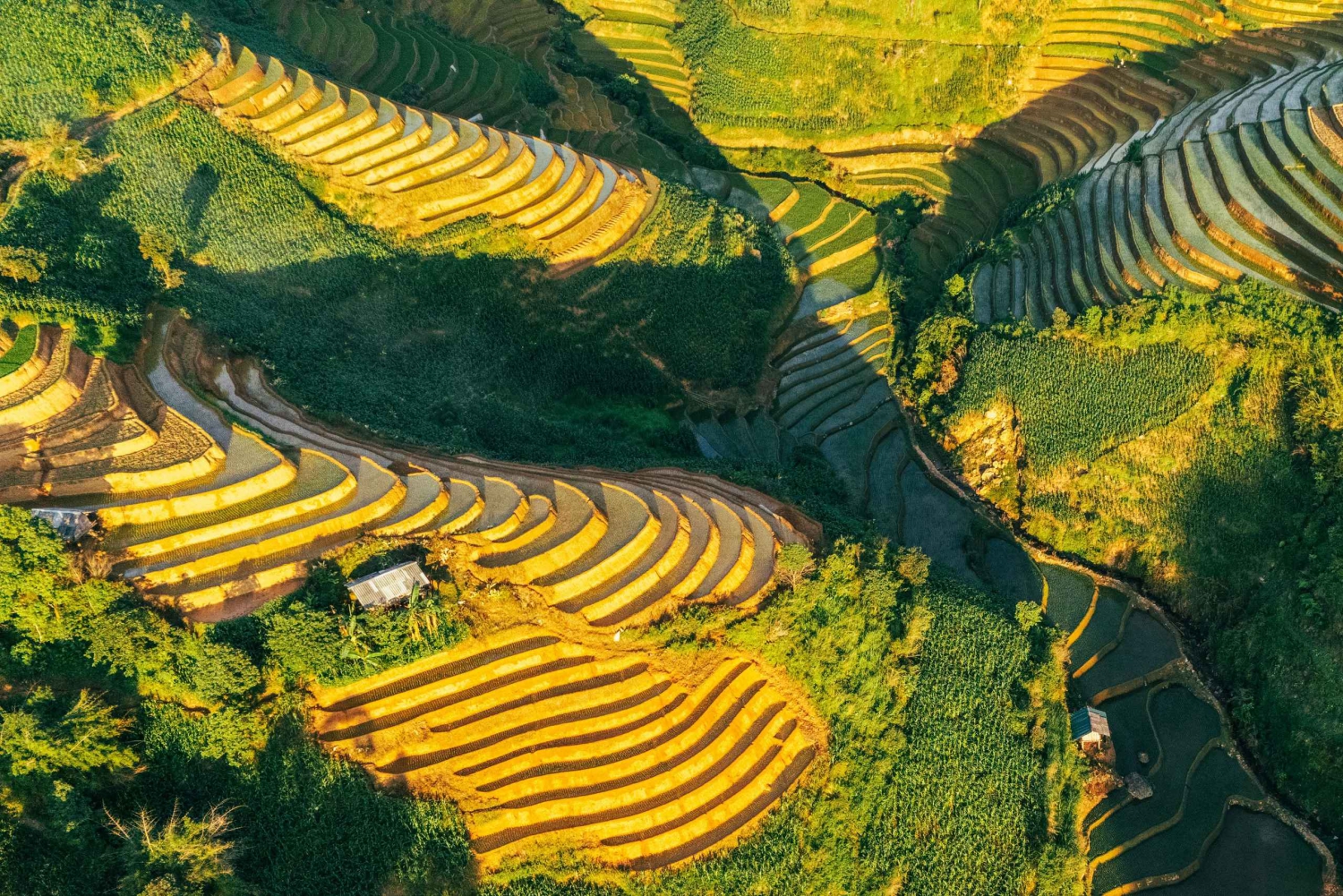 Ha Giang 4-tägige Motorradtour: Dörfer, Pässe, versteckte Schätze