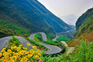 Ha Giang 4-tägige Motorradtour: Dörfer, Pässe, versteckte Schätze