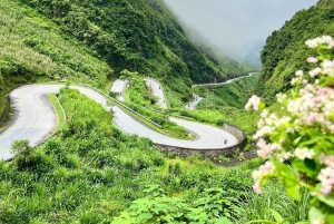 Ha Giang 4-tägige Motorradtour: Dörfer, Pässe, versteckte Schätze