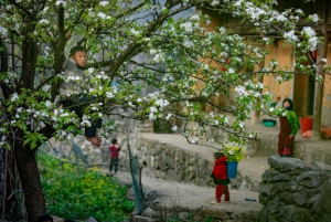 Ha Giang 4-tägige Motorradtour: Dörfer, Pässe, versteckte Schätze