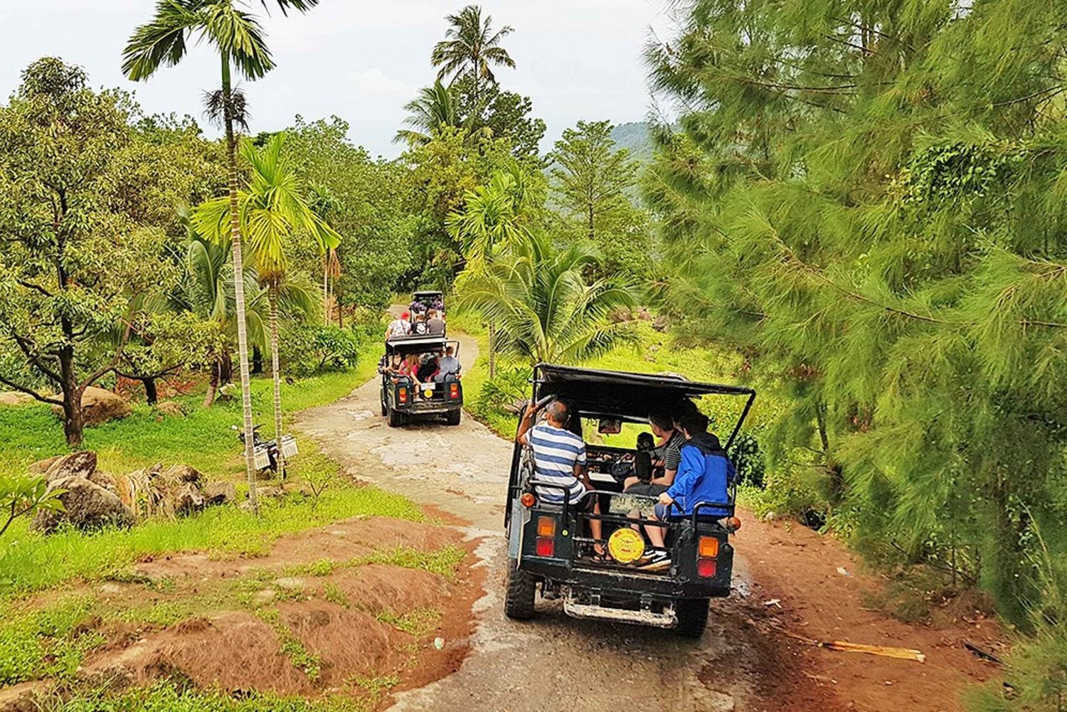 Jeep Tour Koh Samui Jungle Safari Full Day Adventure