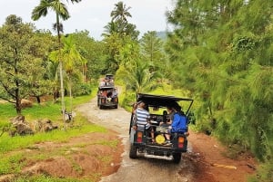 Jeep Tour Koh Samui Jungle Safari Full Day Adventure