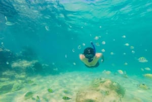 Ko Lanta: Unik snorklingstur med lång svans på 4 öar med lunch