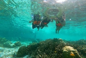 Ko Lanta: Unik snorklingstur med lång svans på 4 öar med lunch