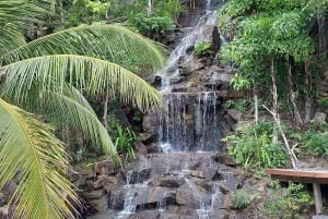 パンガン島：空高くまで登るジップラインとワンサイ滝の眺め