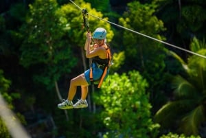 パンガン島：空高くまで登るジップラインとワンサイ滝の眺め