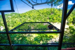 パンガン島：空高くまで登るジップラインとワンサイ滝の眺め