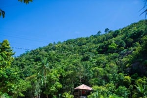 パンガン島：空高くまで登るジップラインとワンサイ滝の眺め
